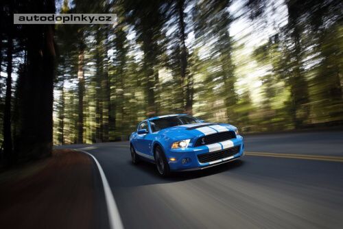 Ford Mustang GT 500 v nov�m