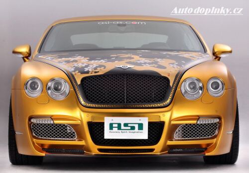 Continental jako kv�tinov� d�t�