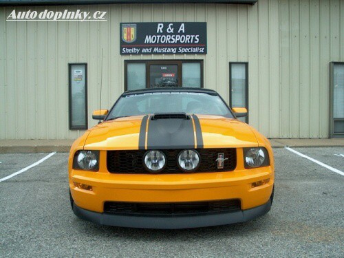 Twister Special Mustang