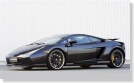 kliknut�m
zv�t�it Hamann Gallardo