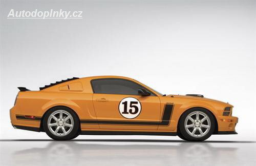 Saleen 2007